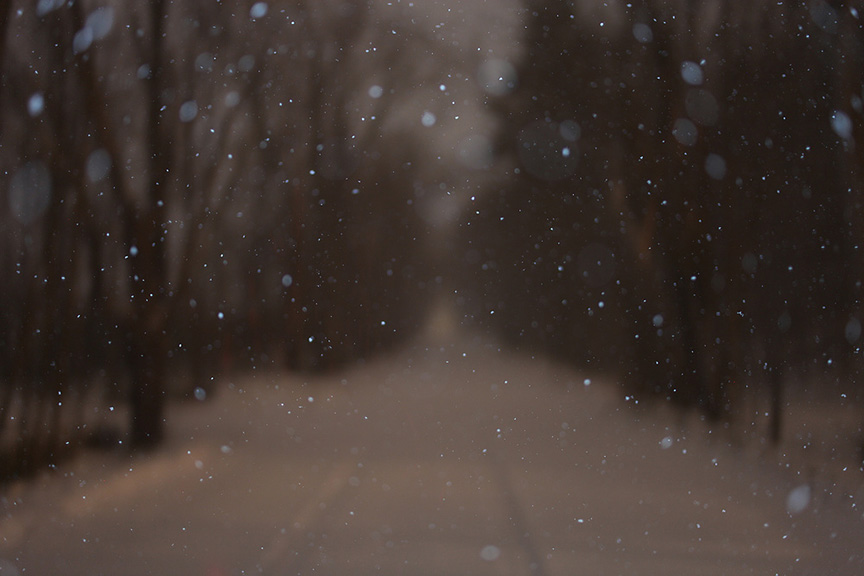tree falling snow