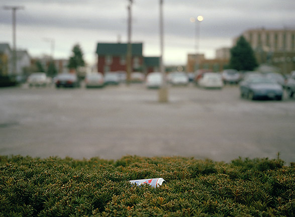 pabst blue ribbon